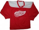 Detroit Red Wings #7 NHL Practise tröja: S