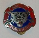 10th Infantry Mountain Division Arctic Warriors badge