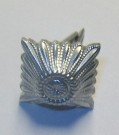 Dienstgradstern Silber 1937 WW2 Original