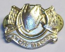 Kragmärke Collar Badge Cavalry Irish Army: Silver