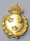 Medalj Utmärkelse Fältidrottsmärket Guld Sverige