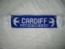 Cardiff City Mini Halsduk