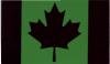 Infraröd Flagga Grön Canada Kardborre