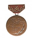 Medalj GST Ausbilder Bronze