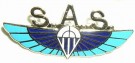 Para Wings SAS Metallmärke