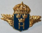 Medalj Utmärkelsetecken HV Hemvärnet Veteranmärke Sverige
