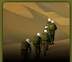 desertrat