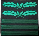 Dienstgradabzeichen Standartenführer/ Oberst repro