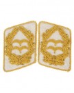 Kragenspiegel Luftwaffe HG Generalleutnant repro